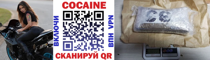 Кокаин FishScale  где купить наркоту  Чаплыгин 
