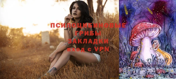 дурь Алзамай