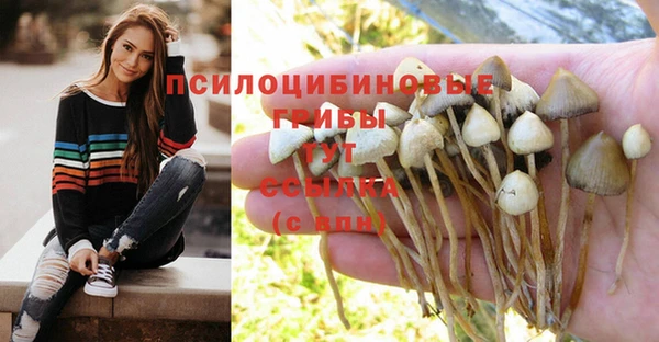 дистиллят марихуана Алексеевка