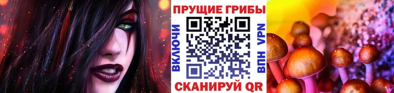 Галлюциногенные грибы ЛСД  ссылка на мегу зеркало  Чаплыгин 